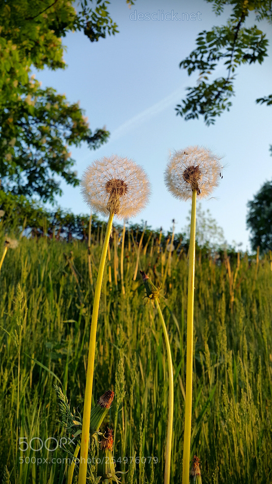 Samsung Galaxy Note4 sample photo. Yearnin' that morning sunlight :) photography