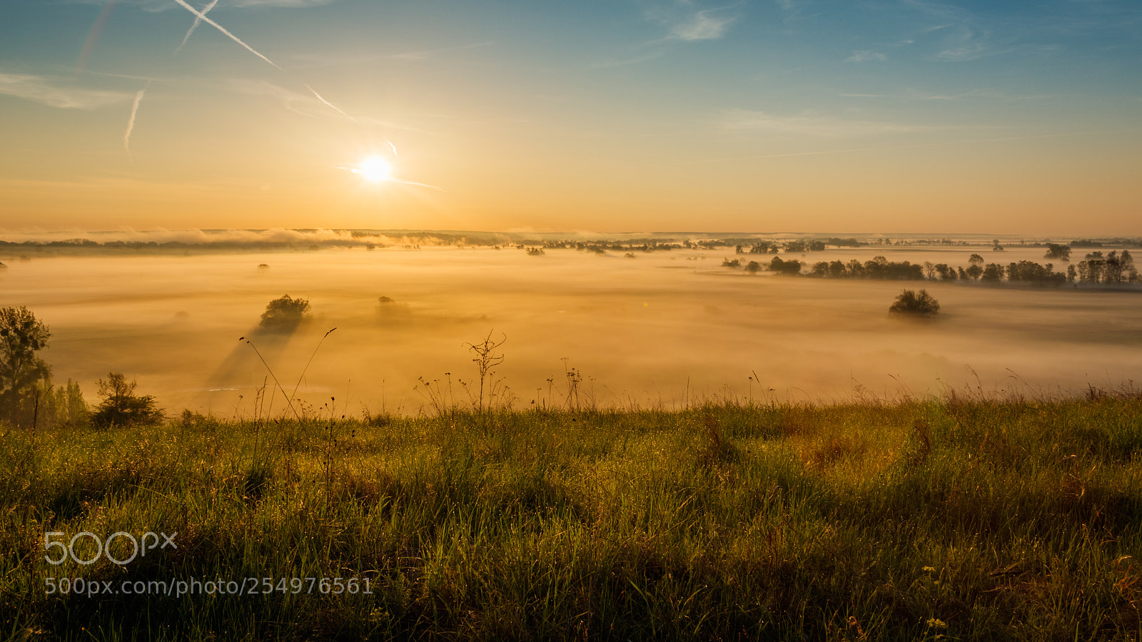 Canon EOS 80D sample photo. Wonderful morning, above a photography