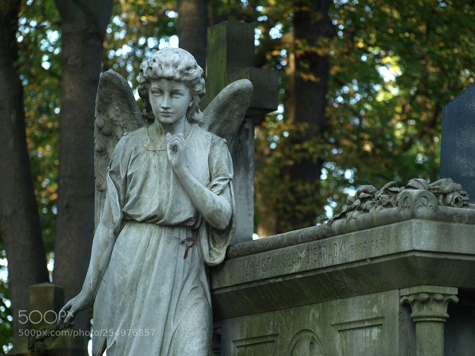 Olympus E-510 (EVOLT E-510) sample photo. Angel photography