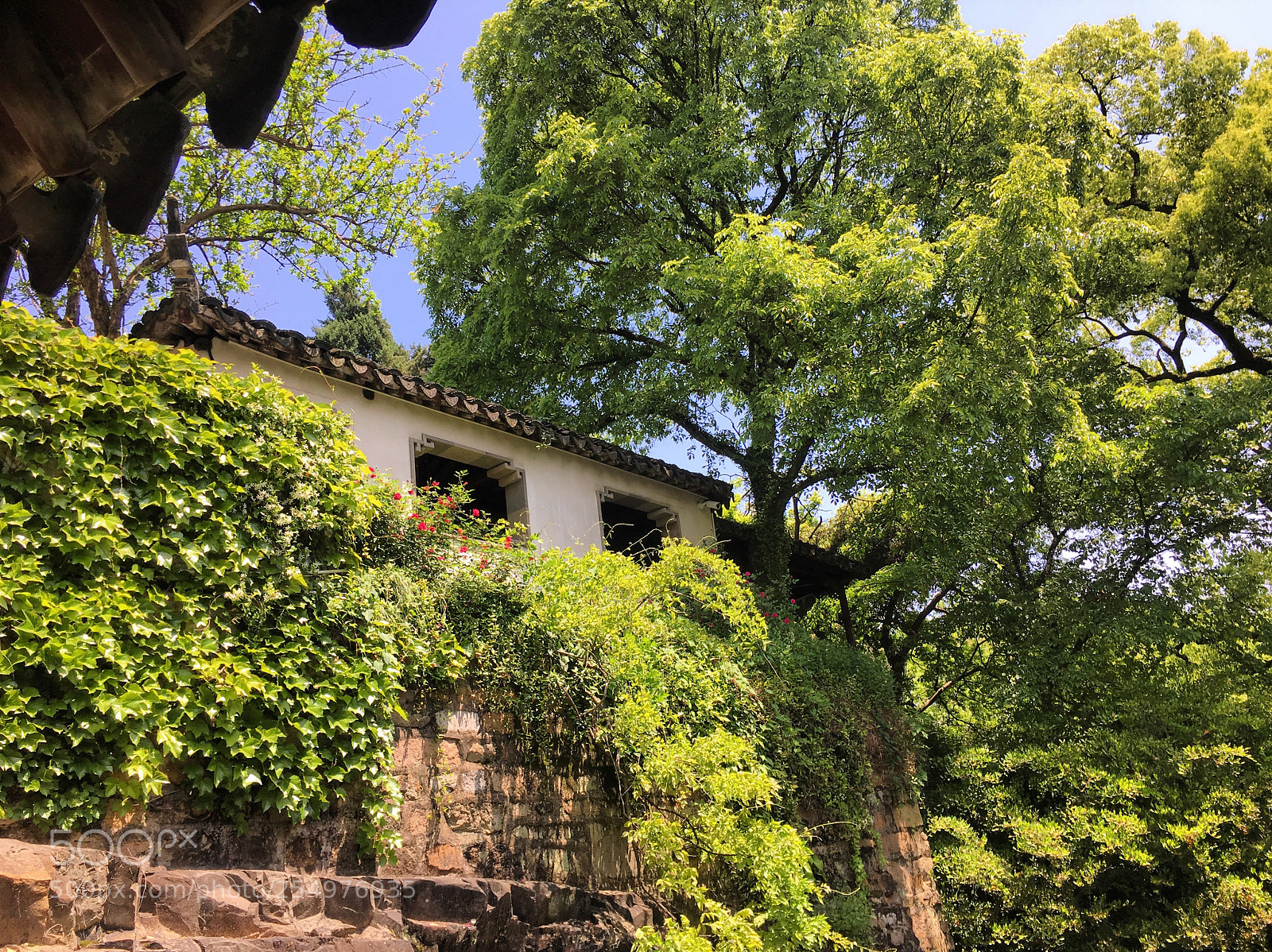 Apple iPhone 6s sample photo. Suzhou, china tiger hill photography