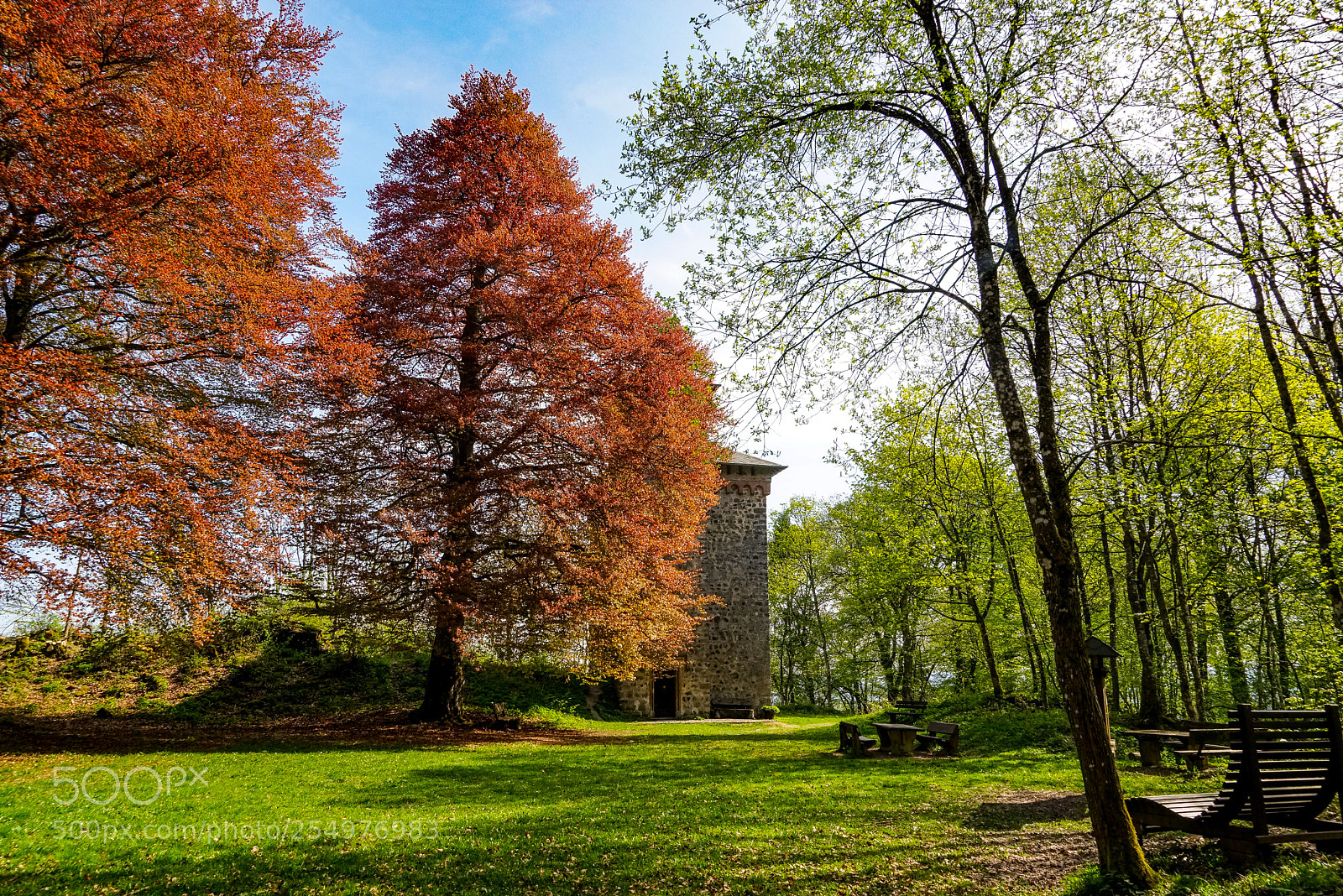 Sony a7R sample photo. Aremberg photography