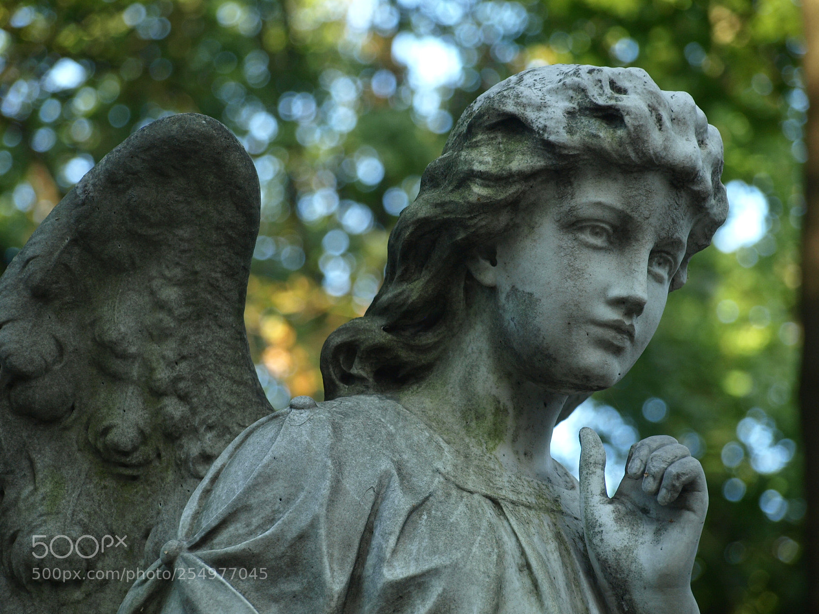 Olympus E-510 (EVOLT E-510) sample photo. Angel photography