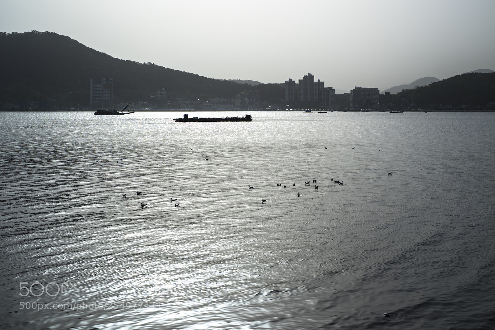 Nikon D810 sample photo. In a sea no.9 photography