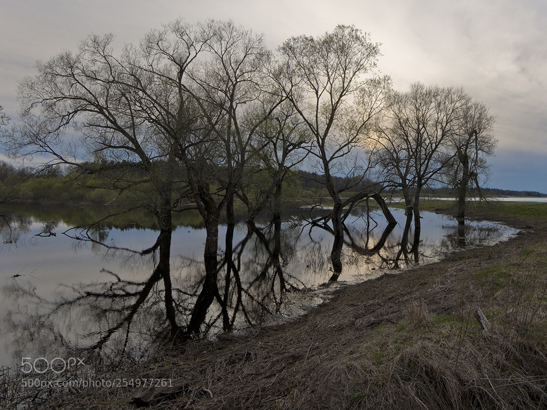 Pentax K-5 II sample photo. Floodplain photography