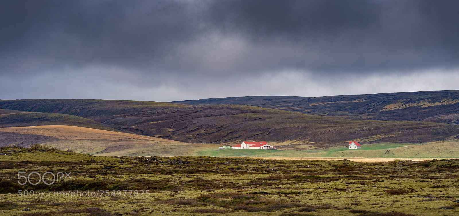 Nikon D4S sample photo. Far away photography