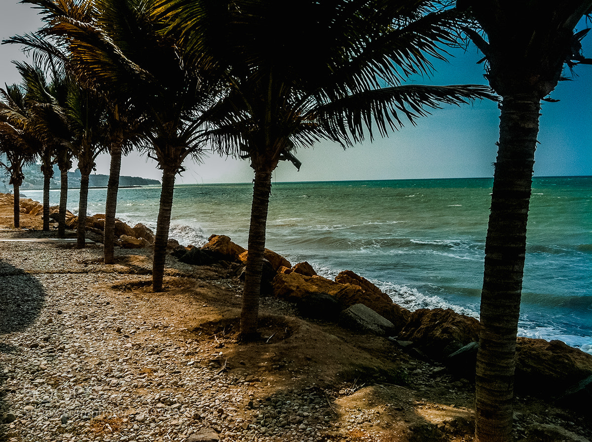 Apple iPhone 4 sample photo. The beach photography