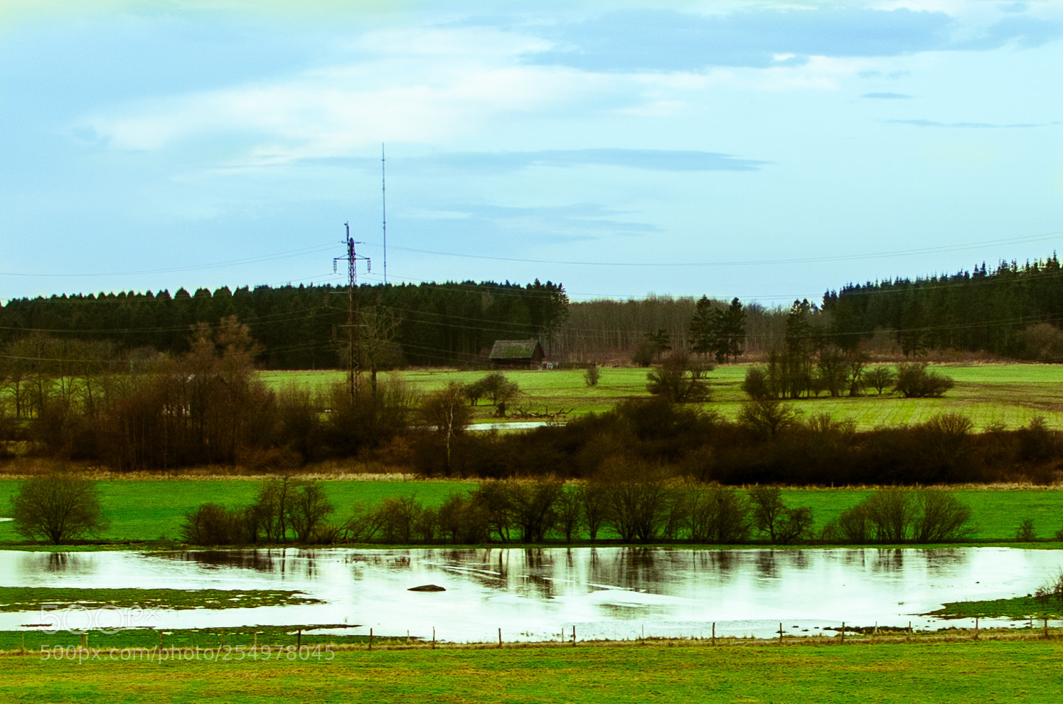 Nikon D7000 sample photo. Vestskoven photography