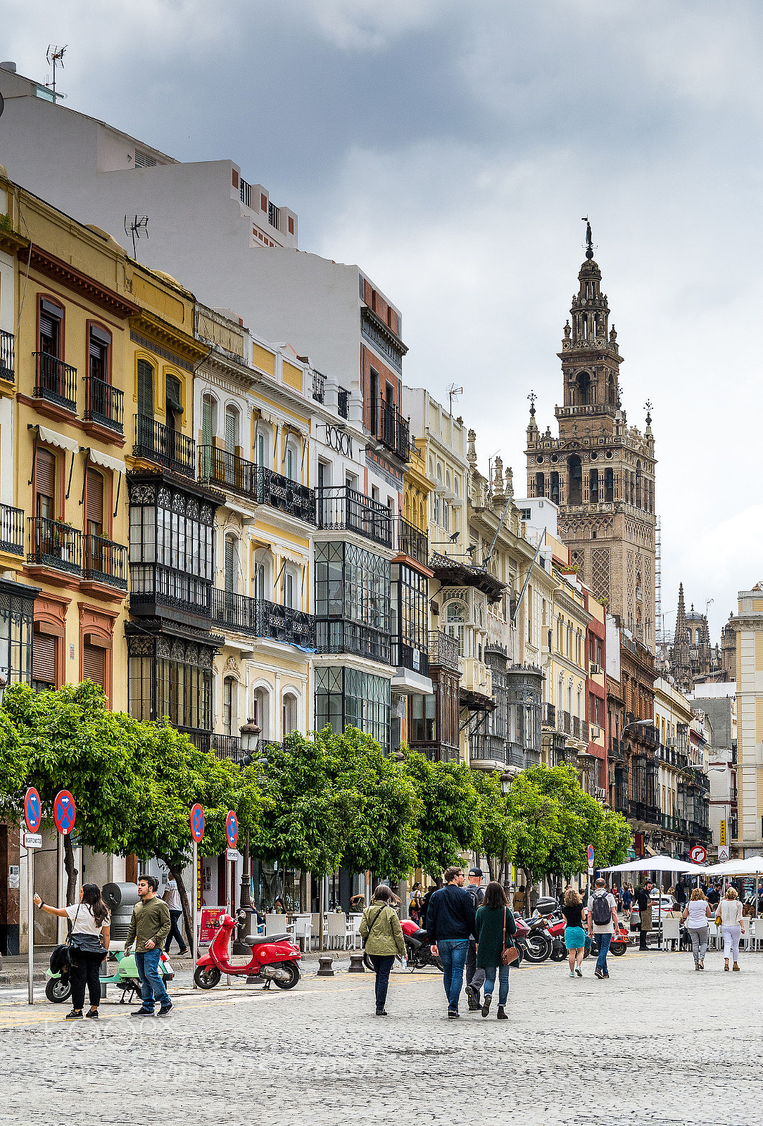 Nikon D7100 sample photo. Sevilla photography