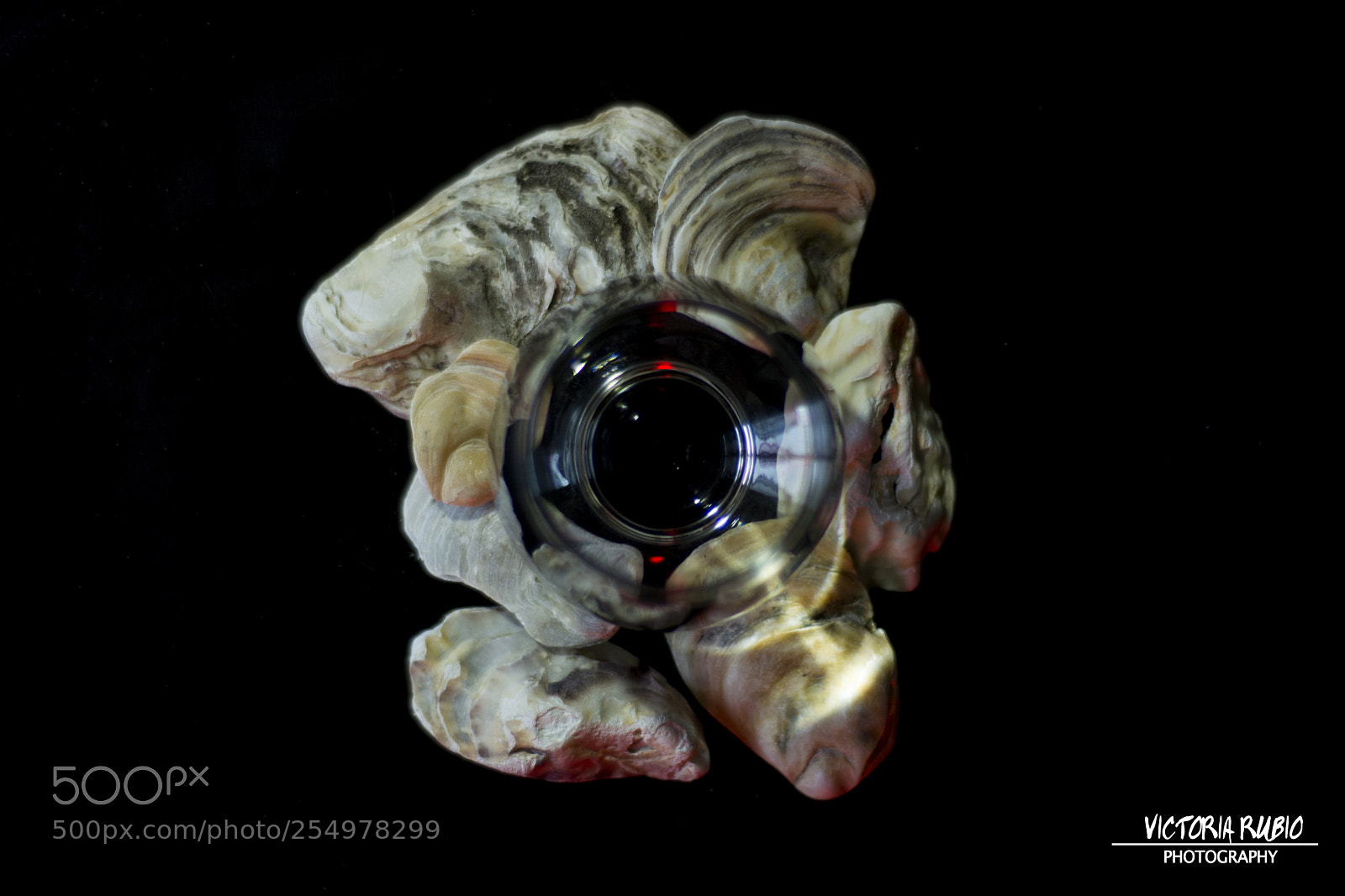 Nikon D5200 sample photo. The all-seing eye photography