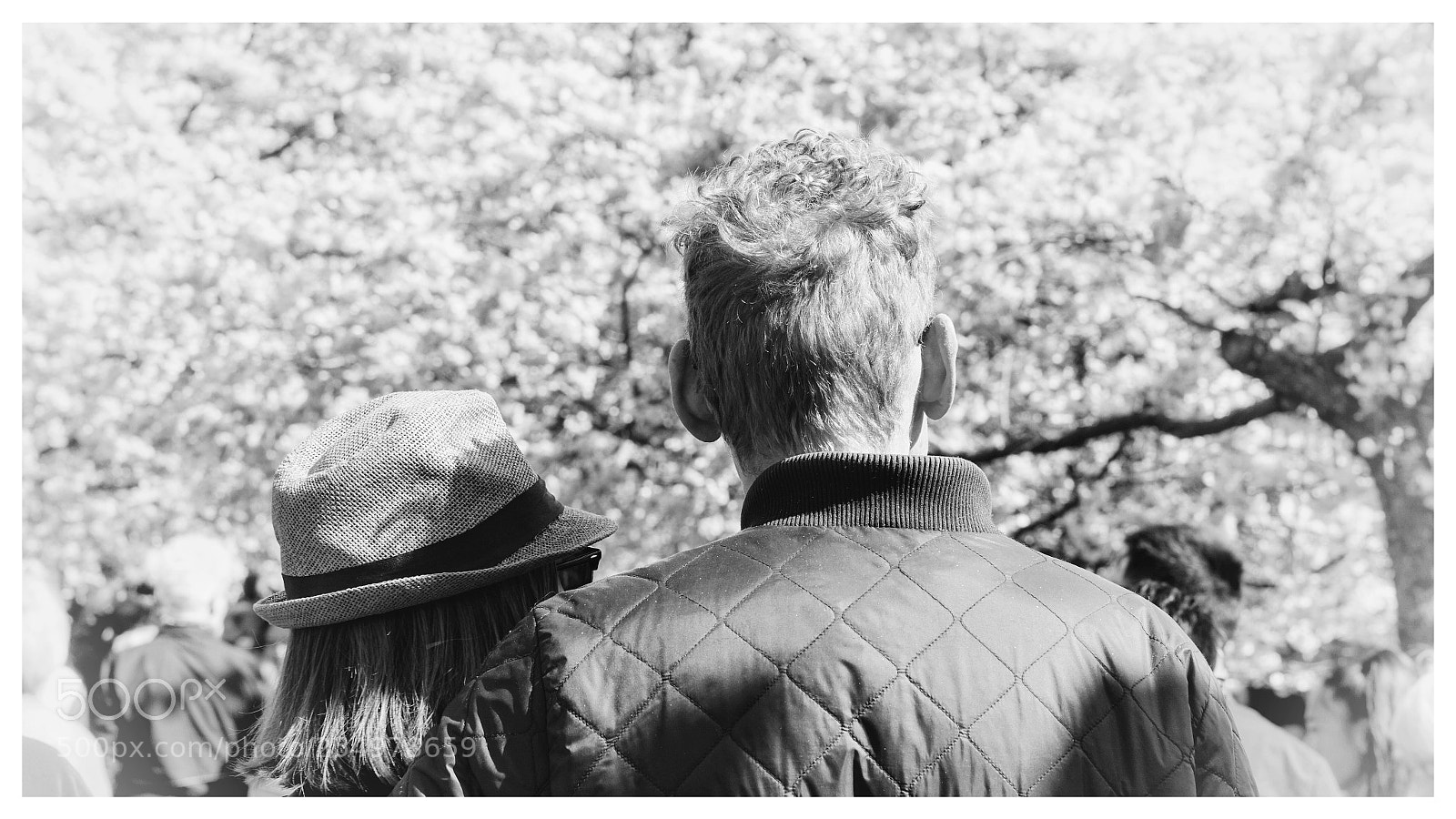 Sony a6000 sample photo. | love spring | photography
