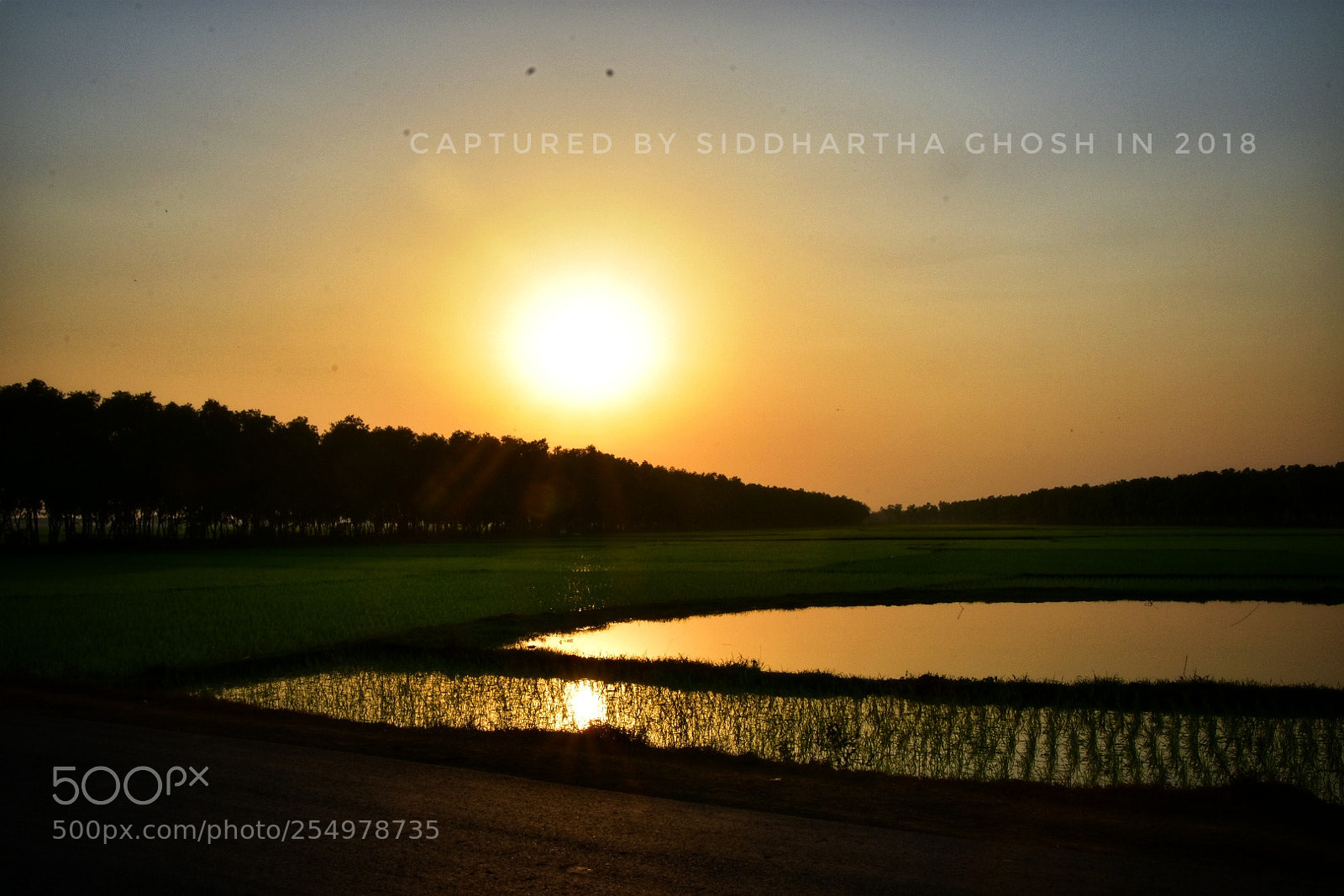 Nikon D7200 sample photo. Suryasto...... photography