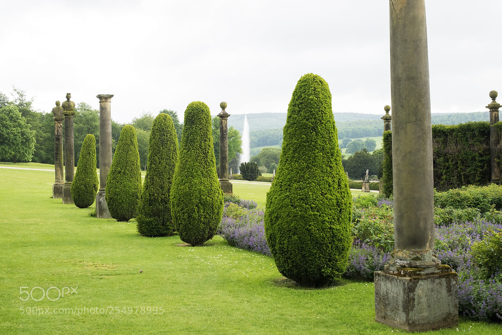 Nikon D600 sample photo. Bushes and columns (1) photography