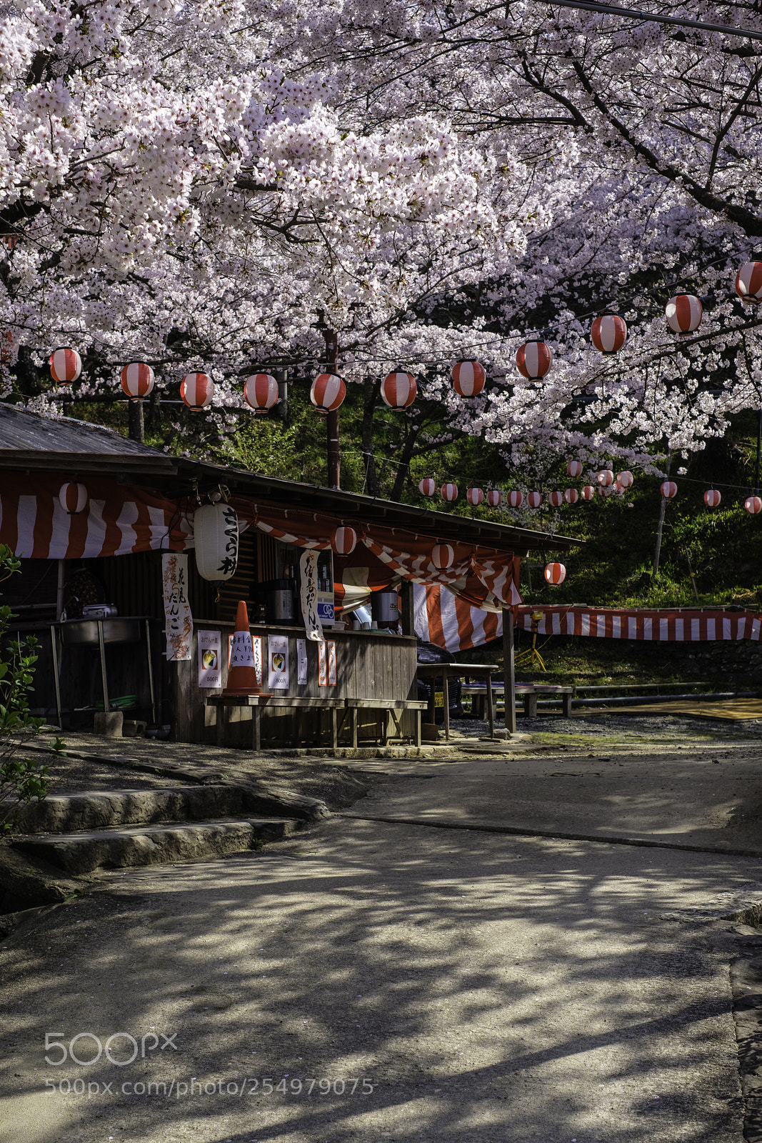 Fujifilm X-T2 sample photo. Japan-紀三井寺 photography