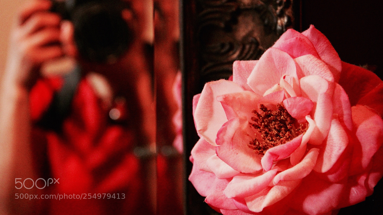 Canon EOS 60D sample photo. Catch you and be photography