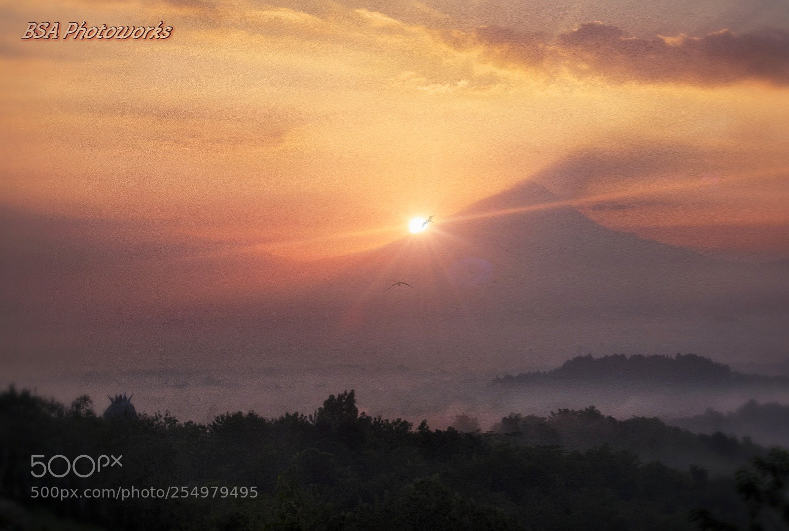 Fujifilm X-T1 sample photo. Sunrise comes! photography