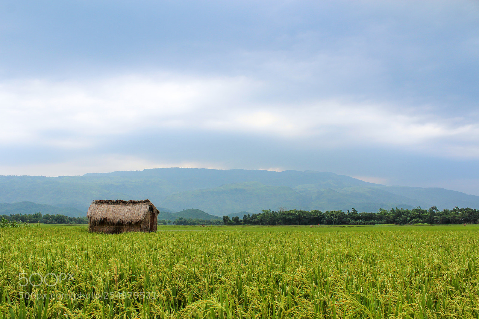 Canon EOS 600D (Rebel EOS T3i / EOS Kiss X5) sample photo. Sunamganj photography