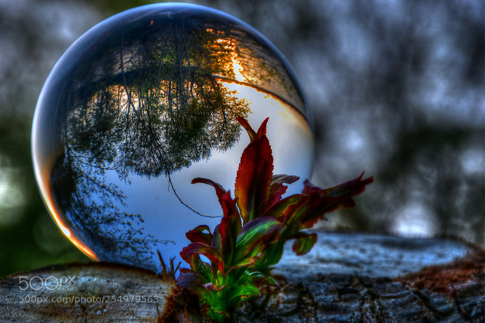 Nikon D7200 sample photo. Glass boll sunset photography