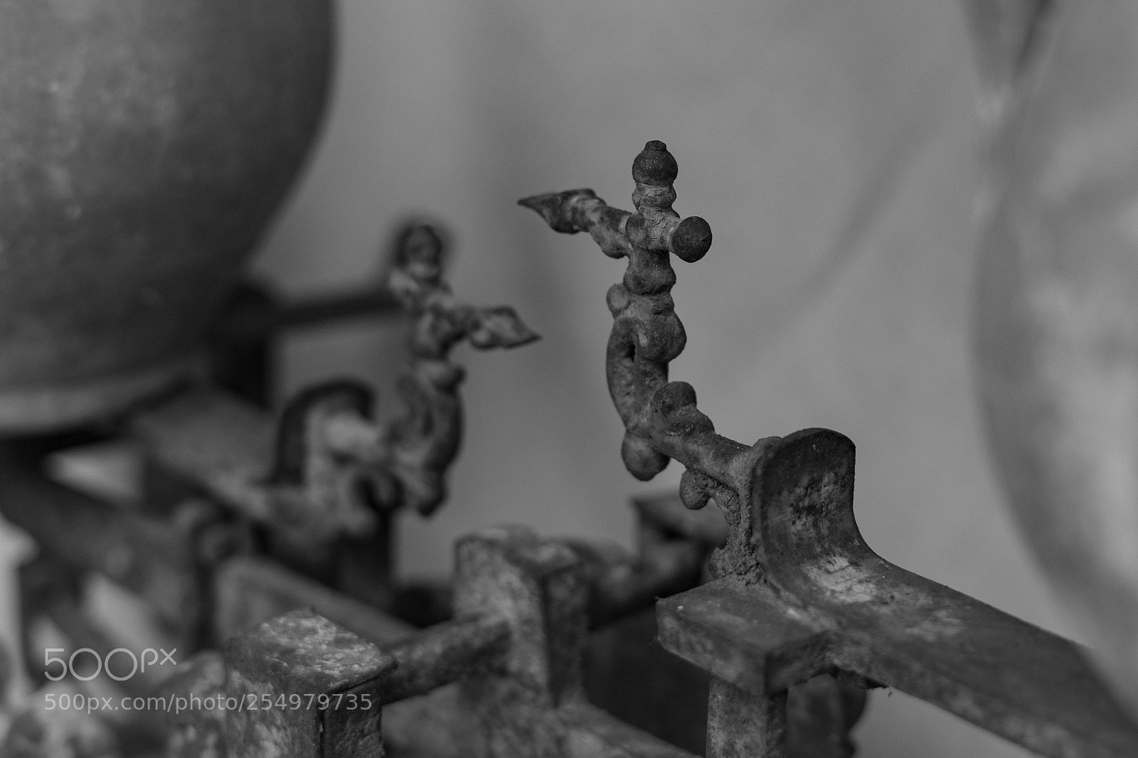 Sony a7 II sample photo. Untitled photography