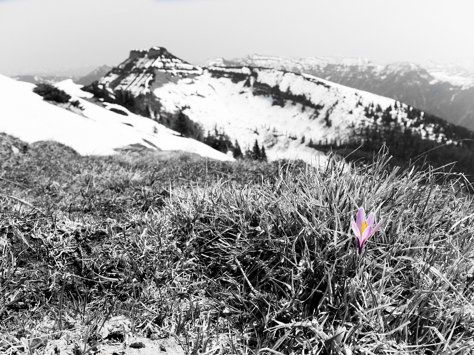 Olympus OM-D E-M10 III sample photo. Austria schlenken photography