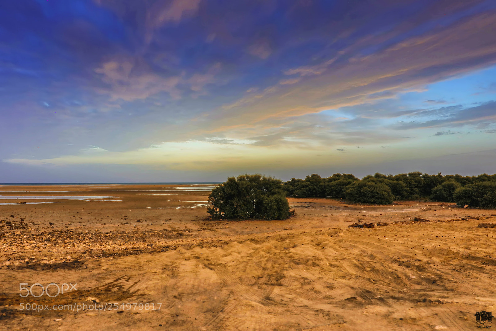 Canon EOS 5D Mark IV sample photo. Open marshy land photography