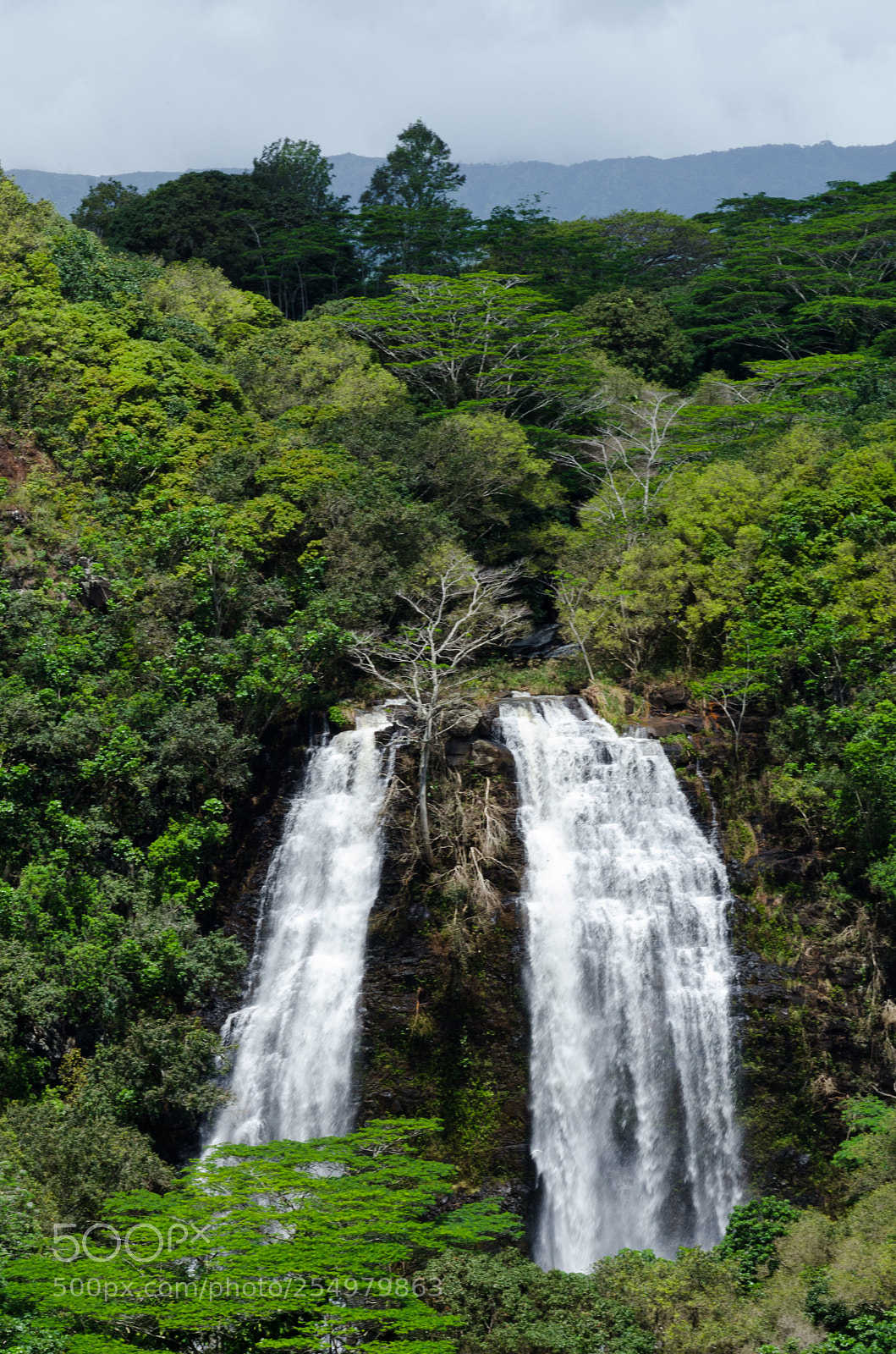 Nikon D7000 sample photo. Opaeka'a falls photography