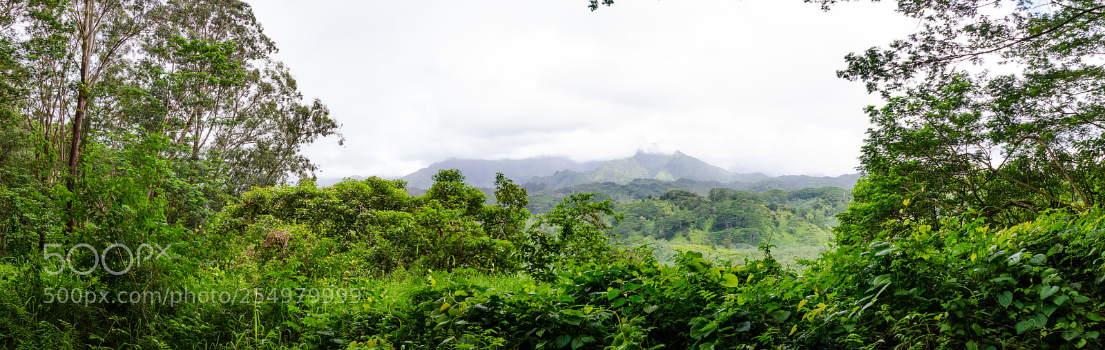Nikon D7000 sample photo. Pano photography