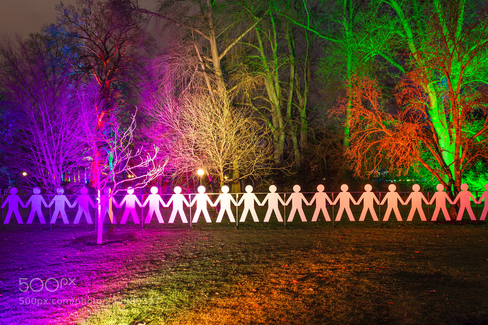 Nikon D7200 sample photo. Palmengarten frankfurt winter light photography