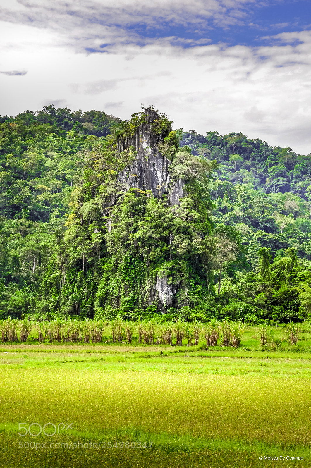 Nikon D90 sample photo. Karst mountain photography