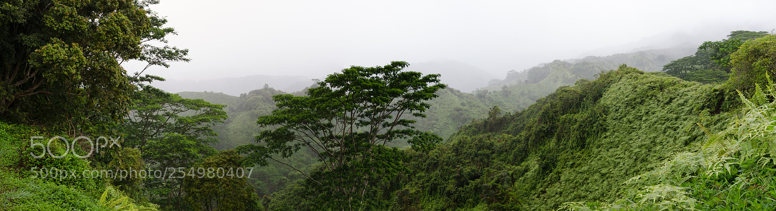 Nikon D7000 sample photo. Pano photography