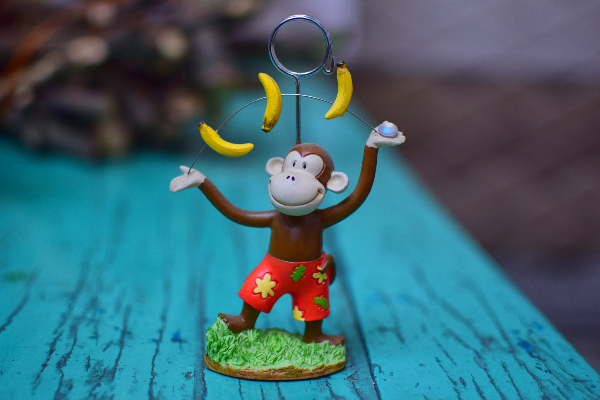 Nikon D5300 + Nikon AF-S DX Nikkor 35mm F1.8G sample photo. Monkey photo clip photography