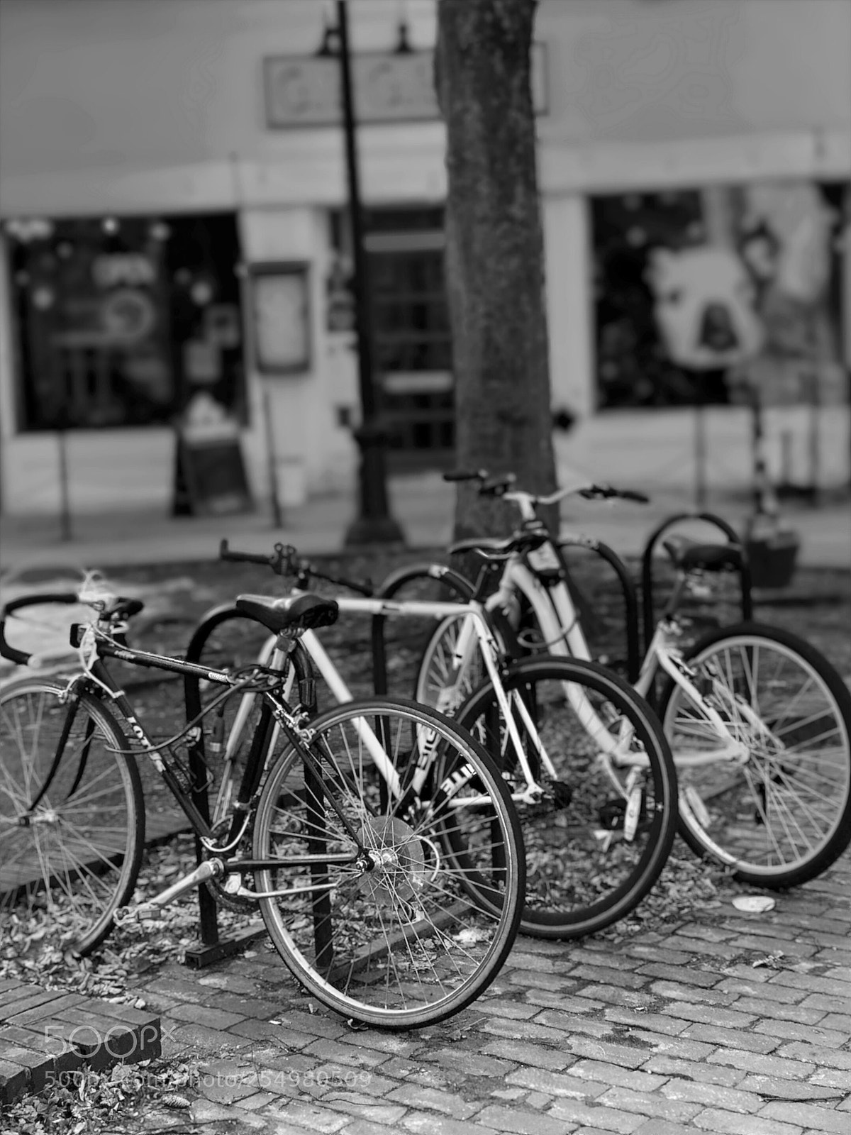 Apple iPhone 7 Plus sample photo. Bicycles  photography