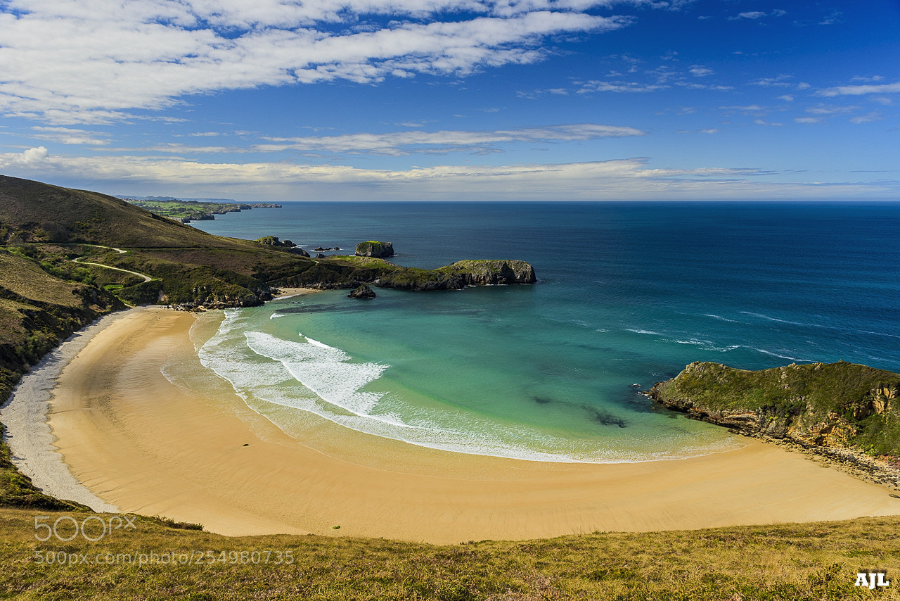 Nikon D810 sample photo. The beach photography