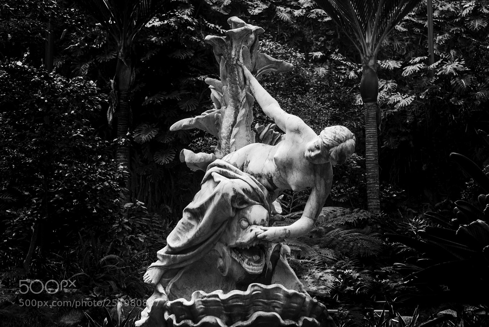 Sony Alpha DSLR-A100 sample photo. The lady and the photography