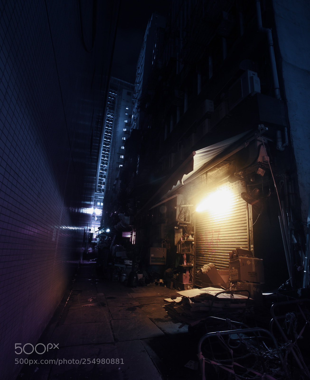 Canon EOS 5D Mark II sample photo. Img photography