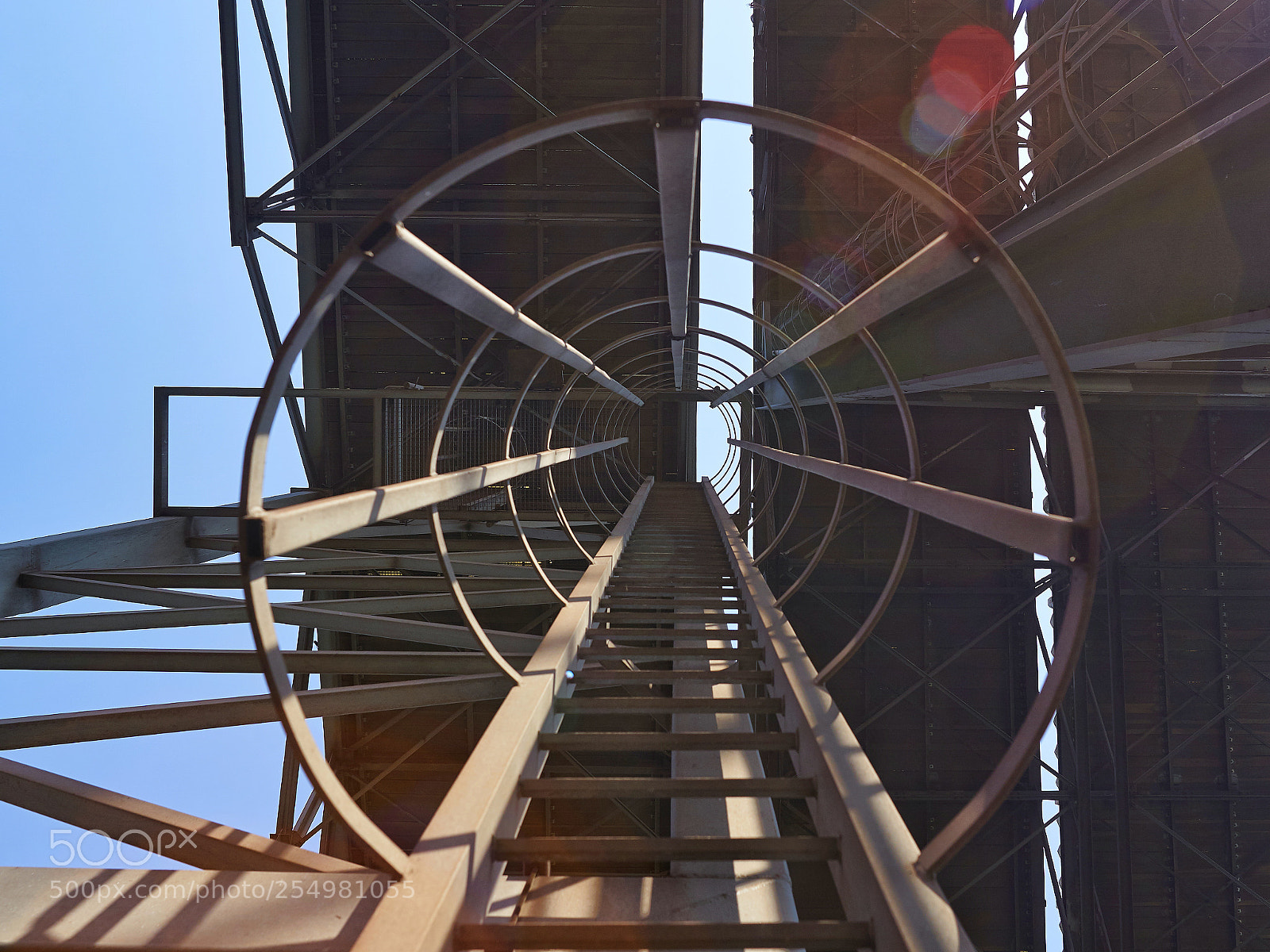 Sony ILCA-77M2 sample photo. Looking for the sun? photography