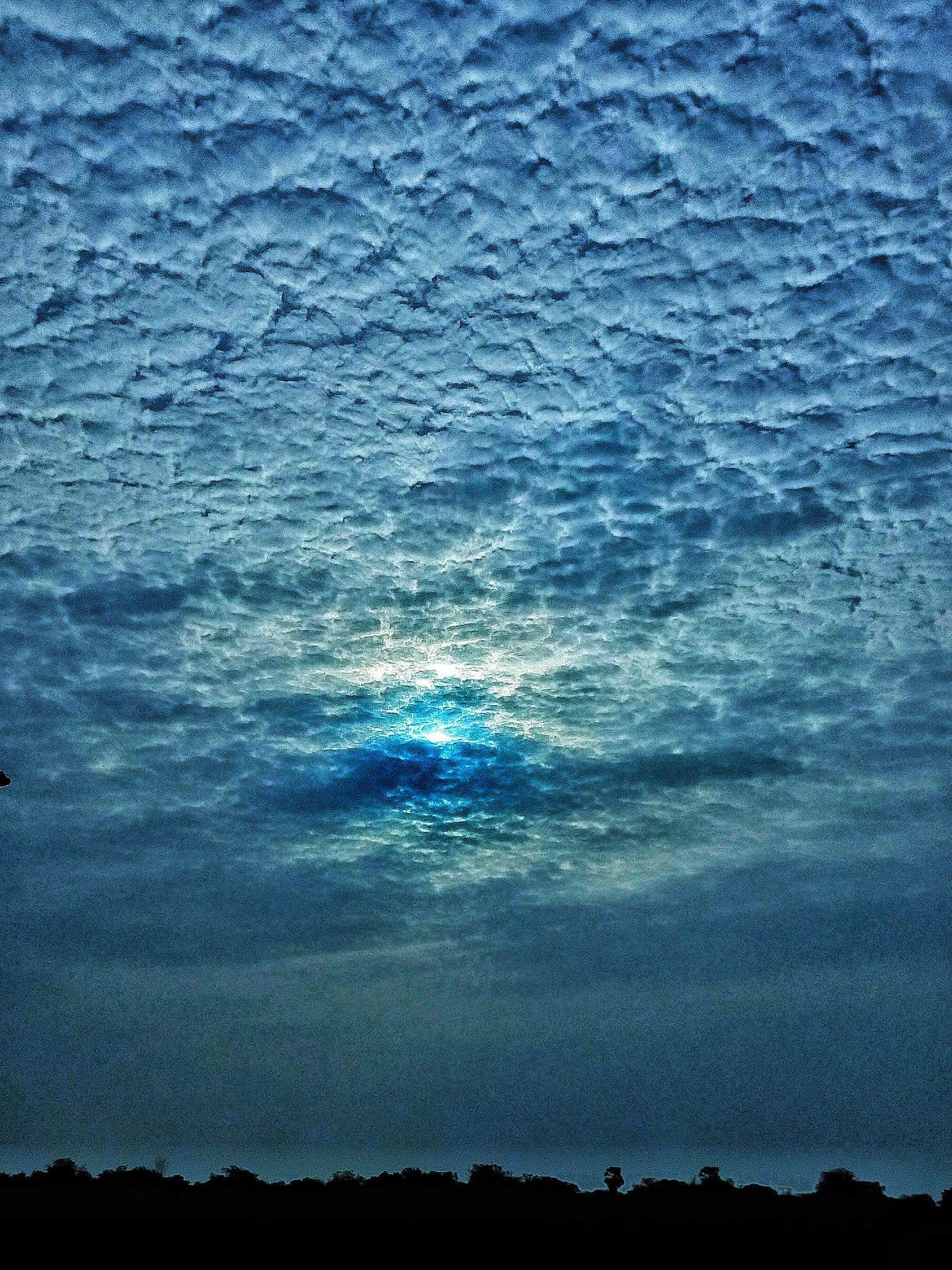 Motorola Moto E3 Power sample photo. Blue sky grabbing sun photography