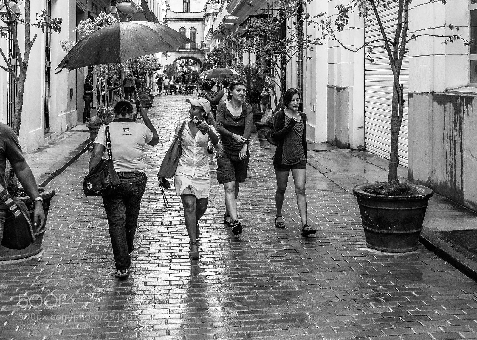 Nikon D800 sample photo. Street. photography