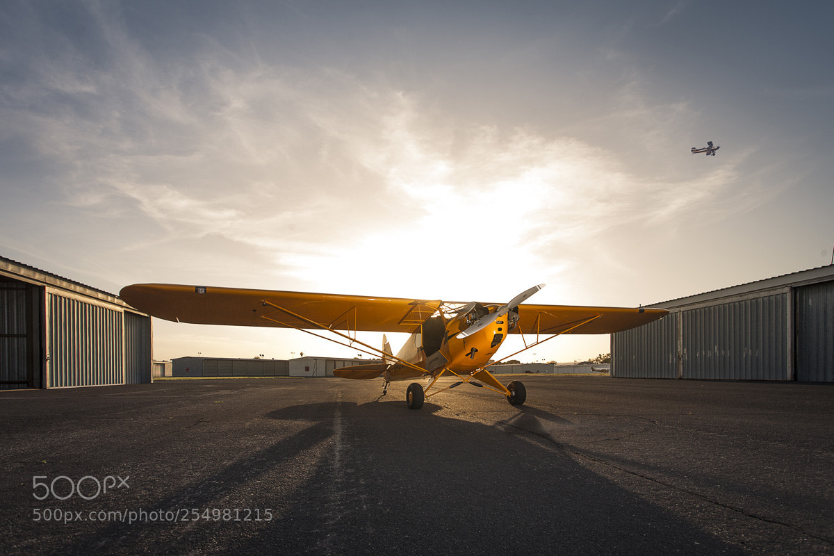 Canon EOS 5D sample photo. Grounded photography