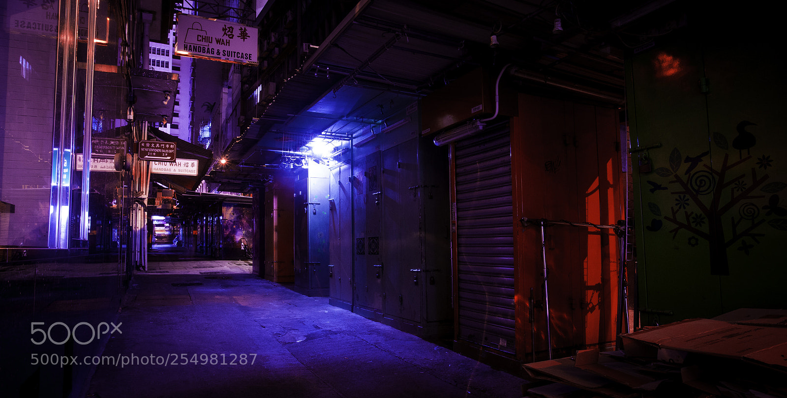 Canon EOS 5D Mark II sample photo. Img photography