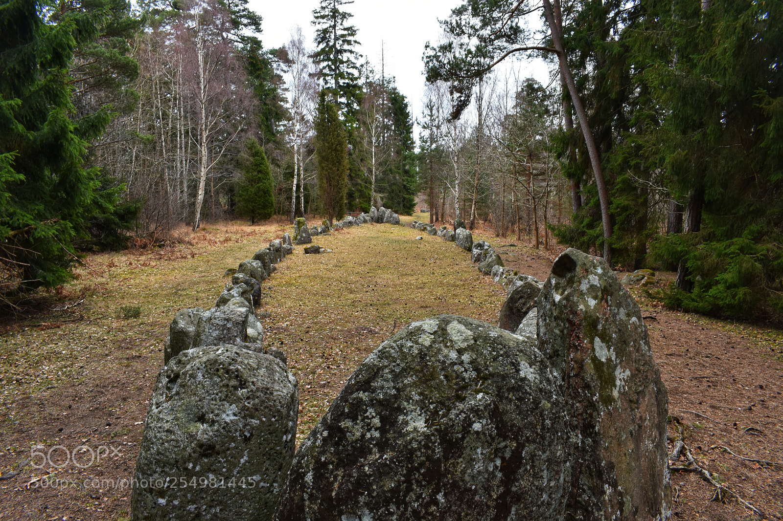 Nikon D3400 sample photo. Bronze age burial site photography