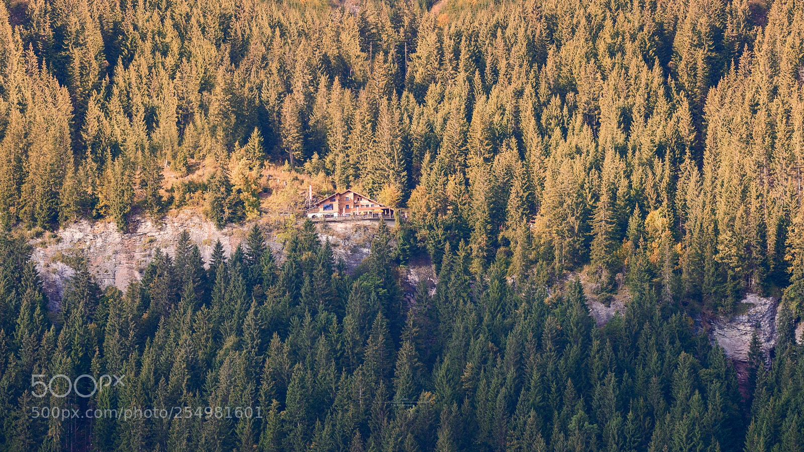 Nikon D610 sample photo. Adlerhorst - tannheimer tal photography