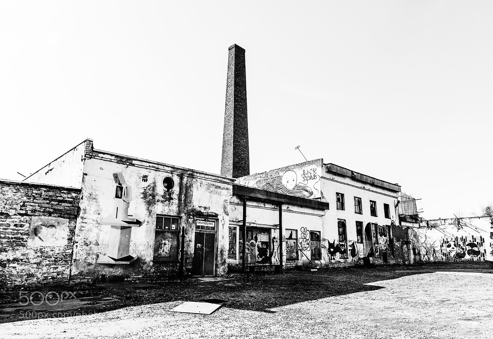 Nikon D810 sample photo. Untitled photography