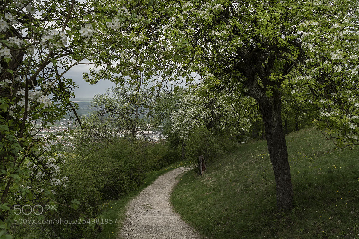 Sony a6300 sample photo. Eningen 230418-022 photography