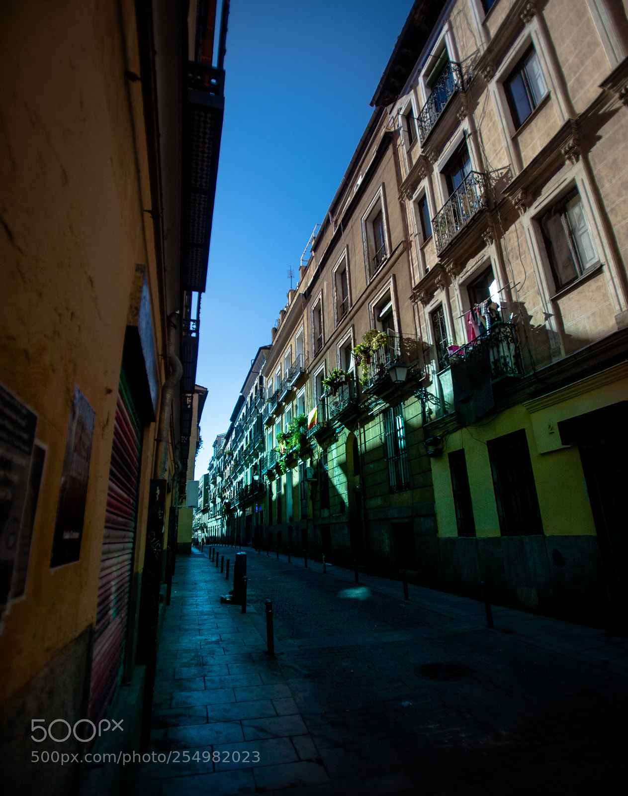 Canon EOS 5D Mark II sample photo. Img photography