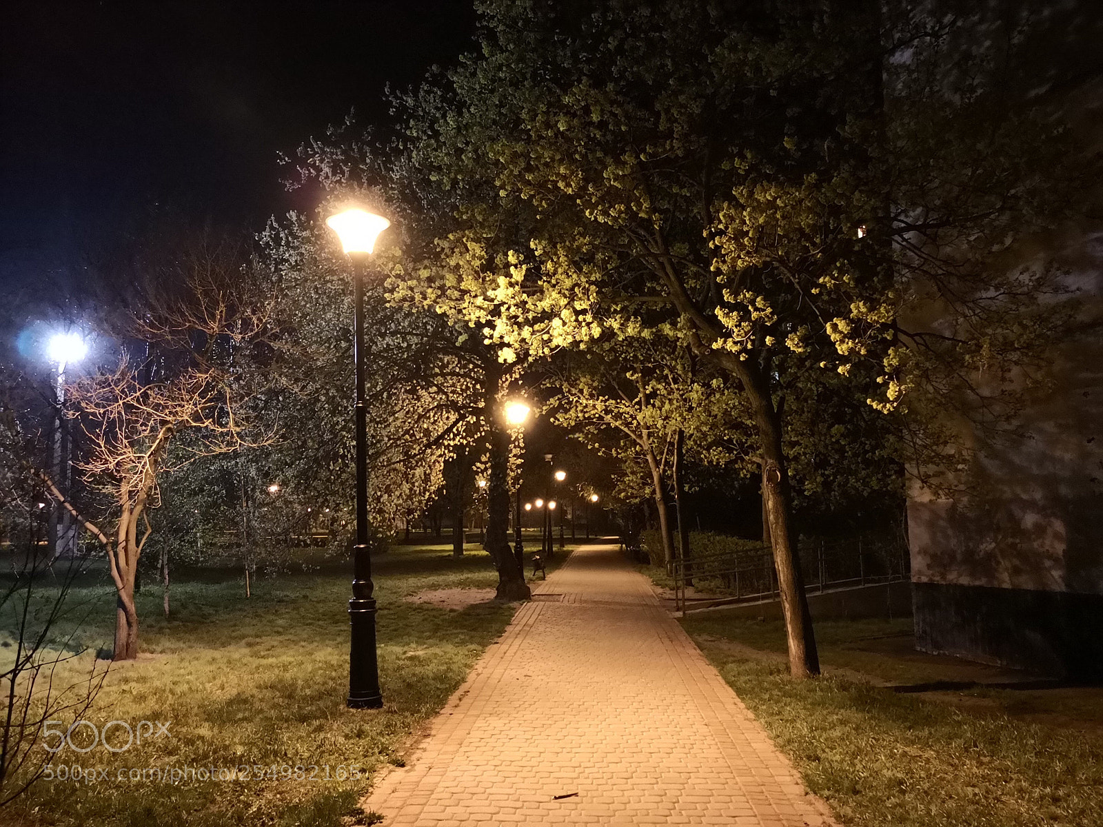 HUAWEI Mate 10 Pro sample photo. Park lights photography