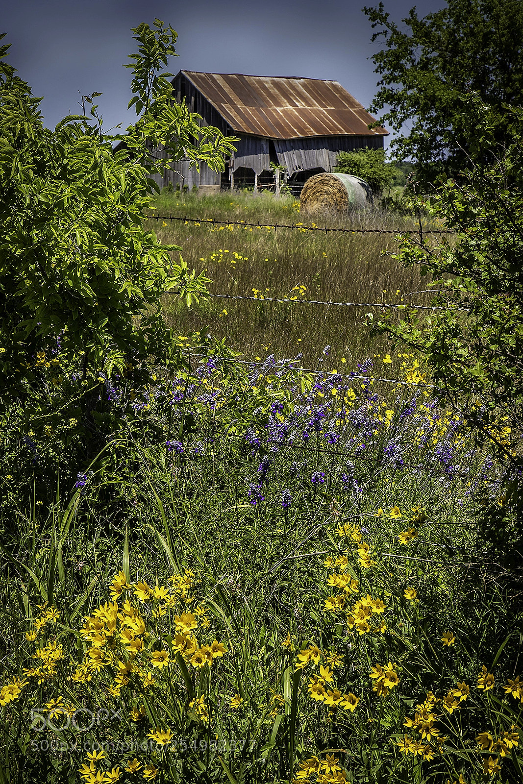 Canon EOS 6D Mark II sample photo. Old barn and wildflowers. photography