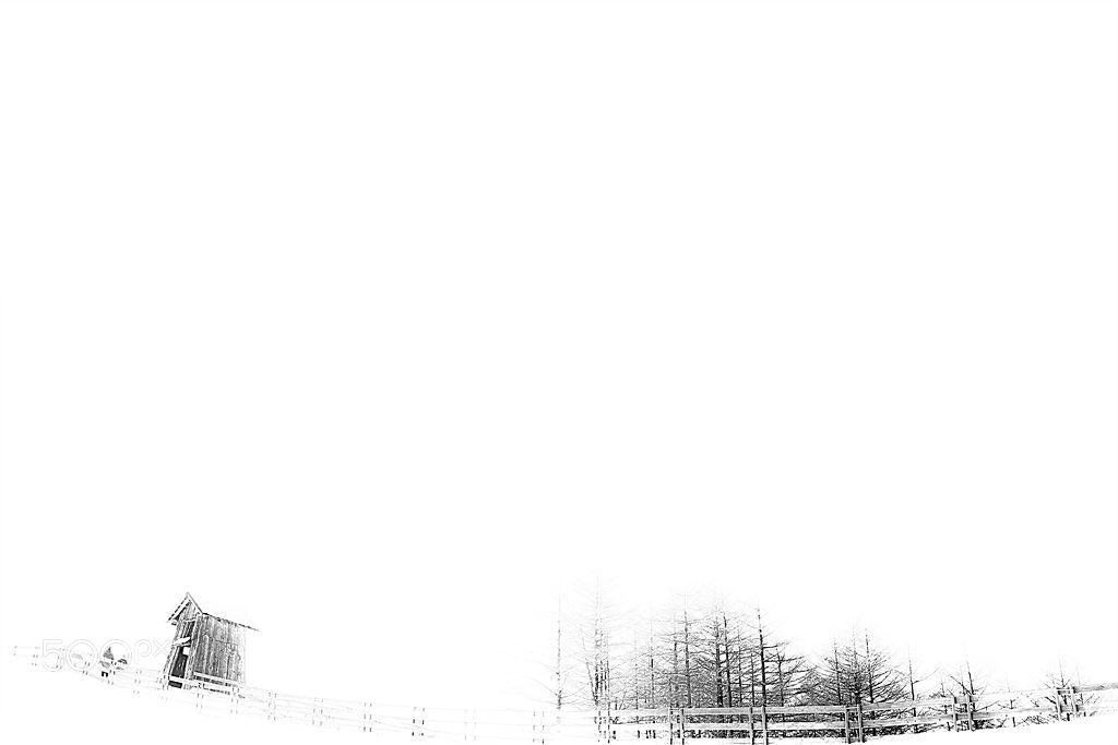Canon EOS 60D sample photo. 눈 오는 날(snowy day) photography
