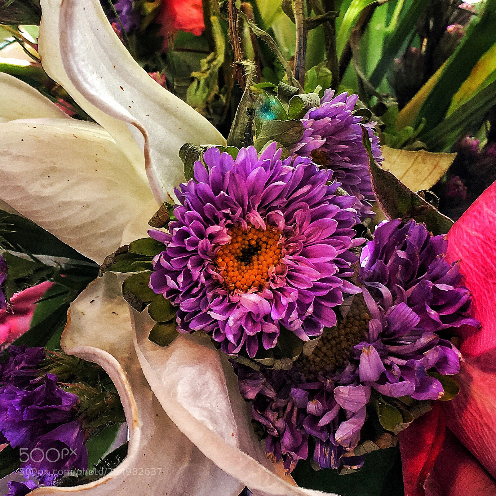 Apple iPhone 6s sample photo. Untitled photography