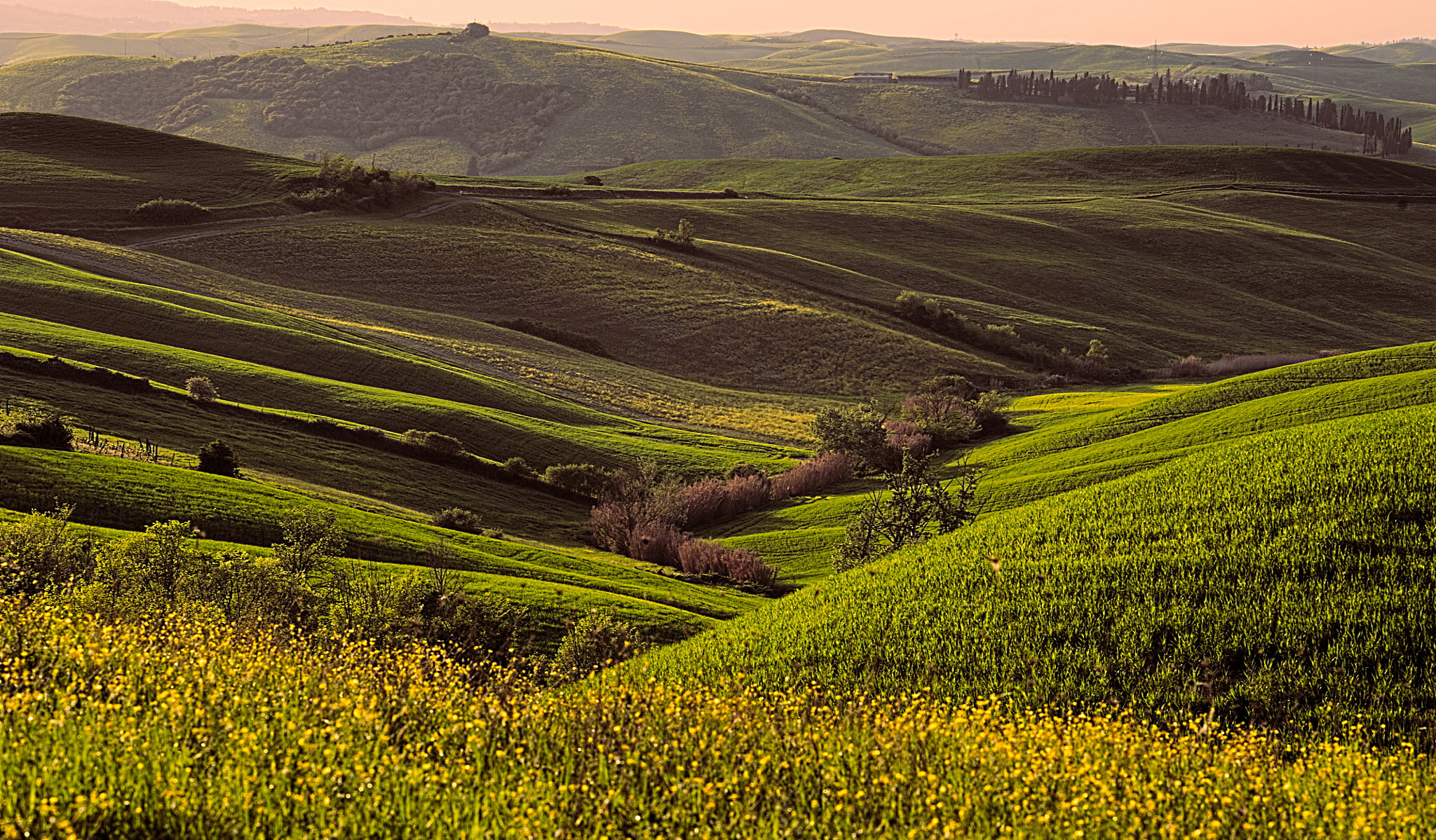 Nikon D700 sample photo. Springtime in tuscany photography