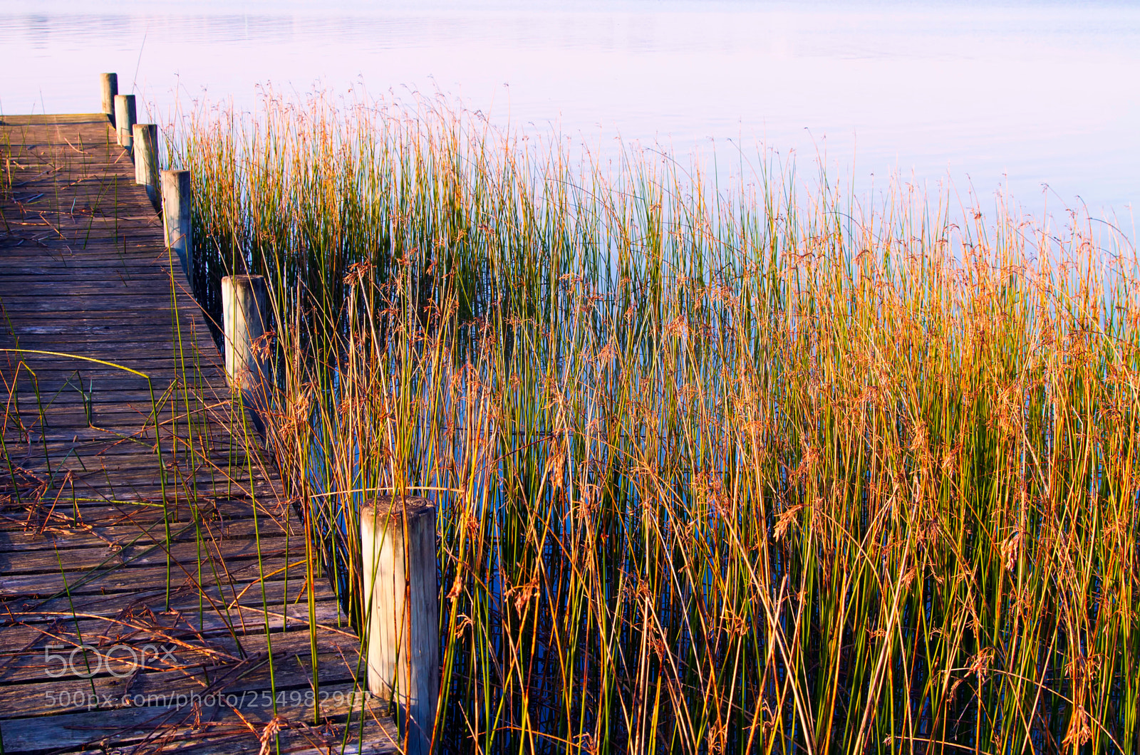 Canon EOS 7D sample photo. Jetty with sea grass photography